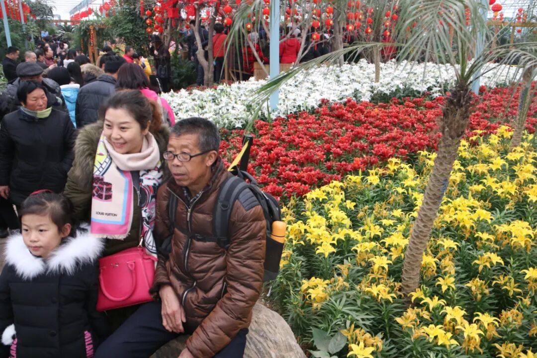 纷呈好戏，“龍”重登场！郑州绿博园新春文化节邀您快乐过“龘”年！