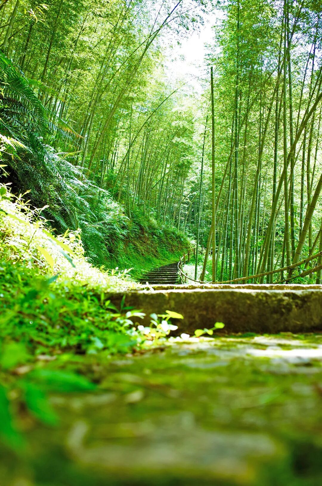 图/ 千泷沟大瀑布