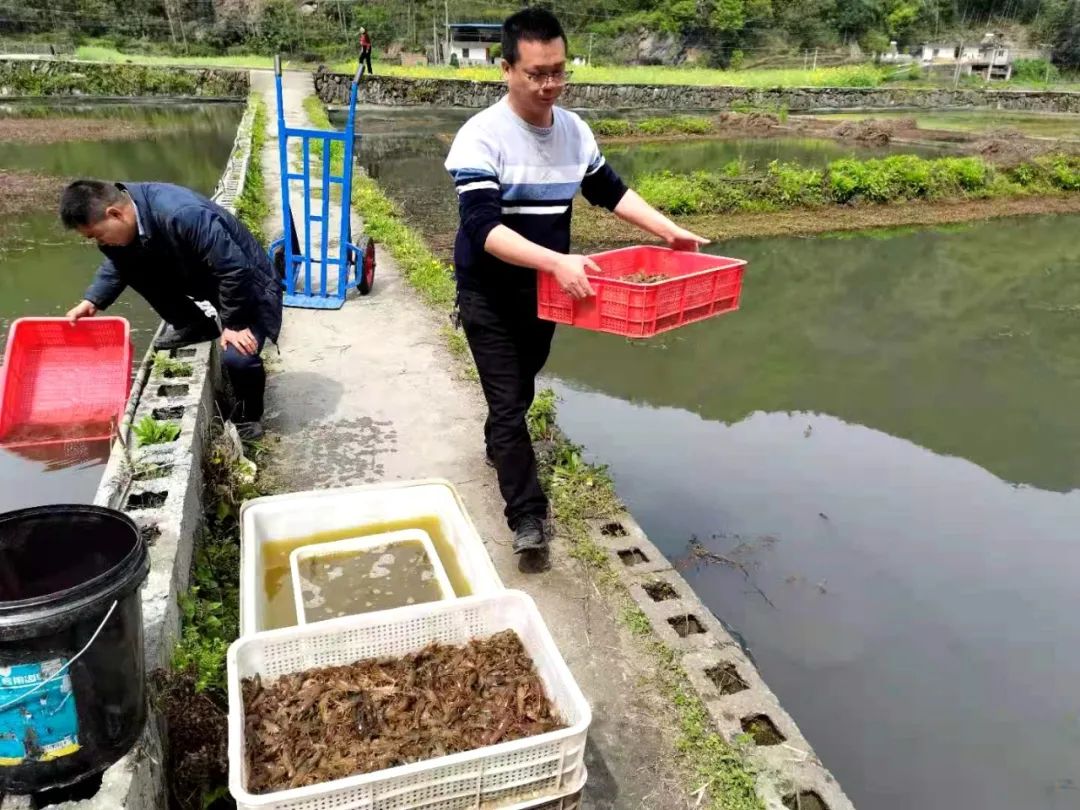 致富经龙虾养殖视频全集_致富经小龙虾养殖视频播放_致富经小龙虾