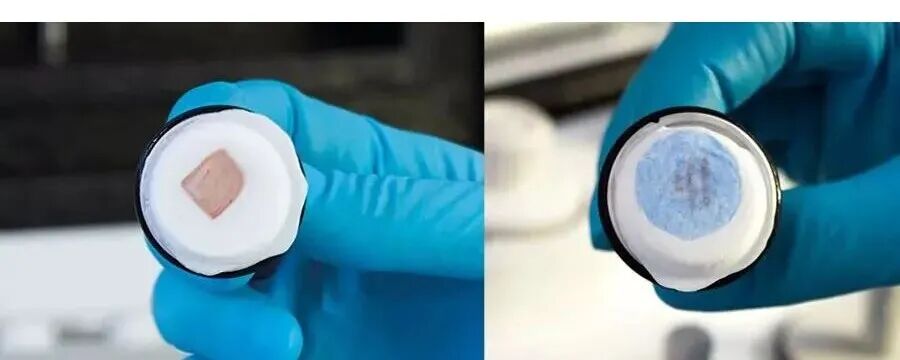 助力湖北&ldquo;數(shù)智化病&rdquo;培訓(xùn)項(xiàng)目，讓冰凍切片更輕松！