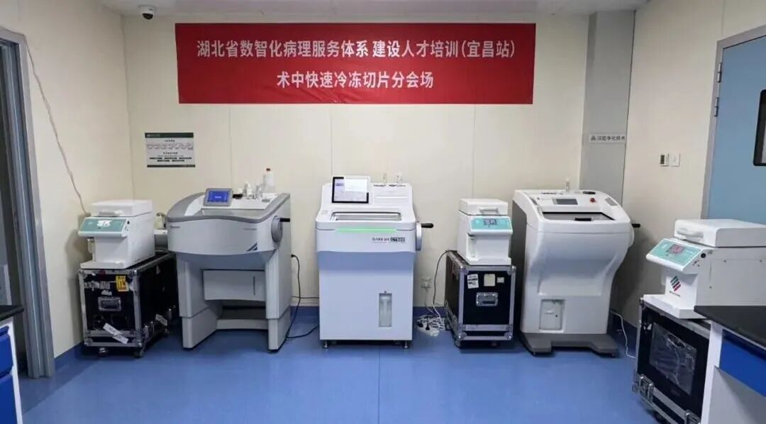 助力湖北&ldquo;數(shù)智化病&rdquo;培訓(xùn)項(xiàng)目，讓冰凍切片更輕松！