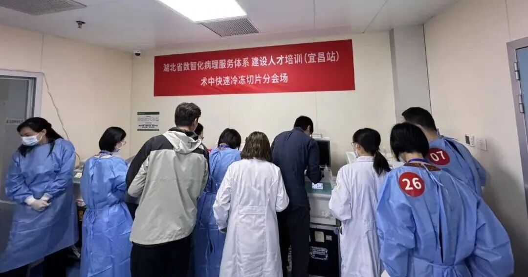助力湖北&ldquo;數(shù)智化病&rdquo;培訓(xùn)項(xiàng)目，讓冰凍切片更輕松！