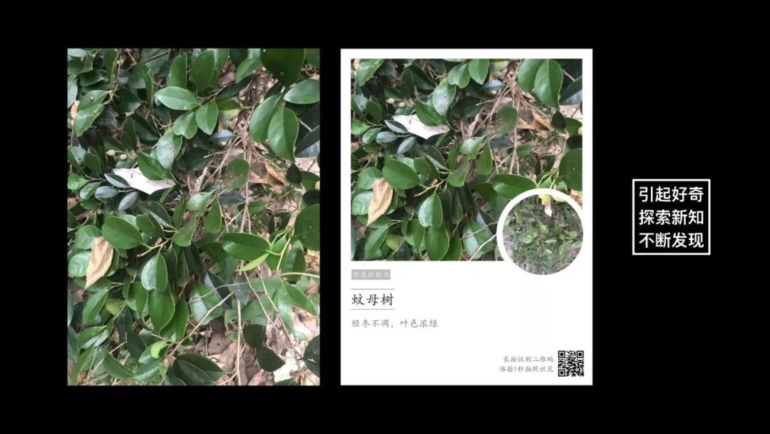 杨晓哲:未来教师的七个趋势