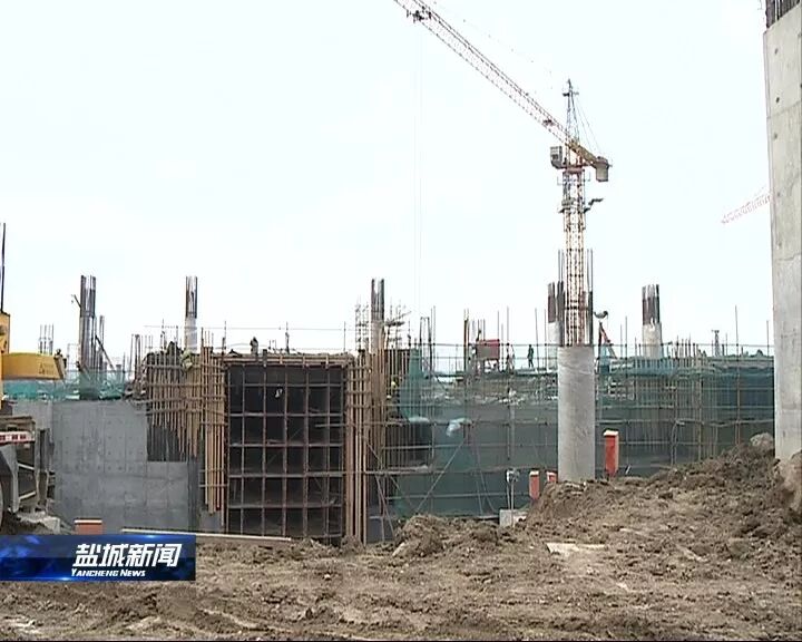 范公堤组团:高质量快速度推进 确保年底试运营