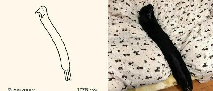 让房间充满快活的空气！大家一起玩的游戏推荐