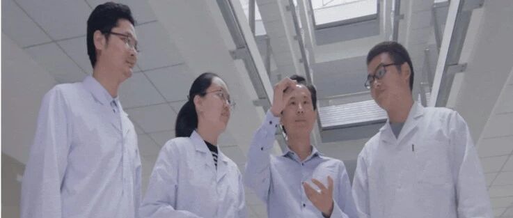 这项柔性技术很硬核，点赞！