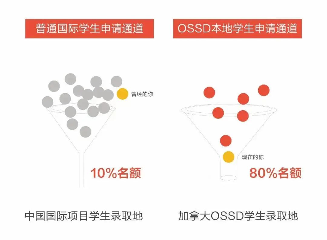震泽中学国际部开班中加课程