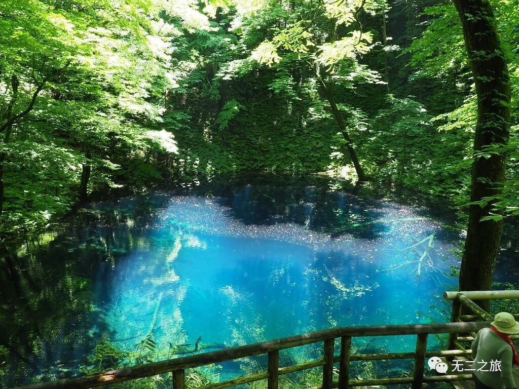 日本旅游：西瓜WiFi空调，都比不上青森的夏天                                                                                               日本