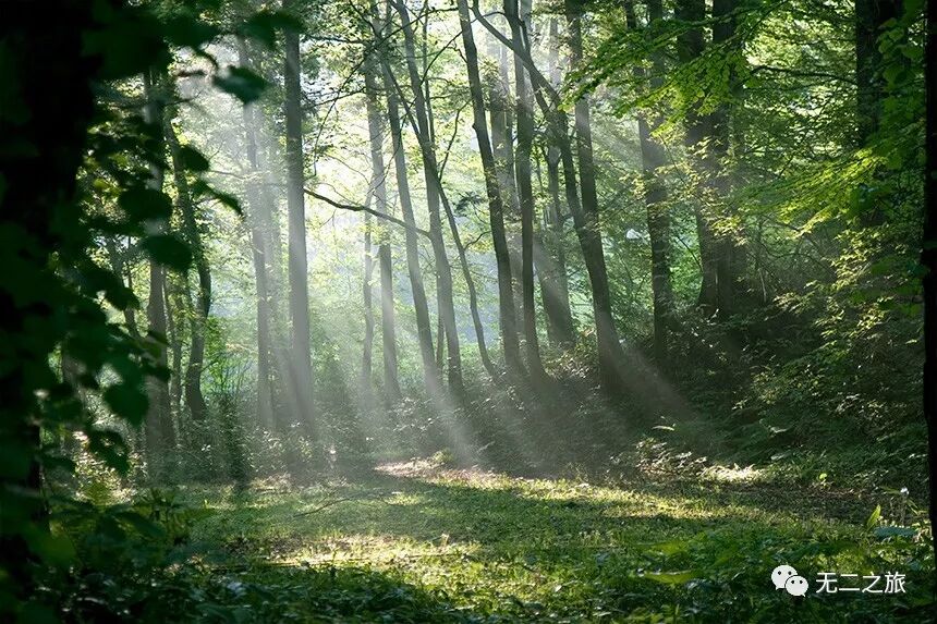 日本旅游：西瓜WiFi空调，都比不上青森的夏天                                                                                               日本