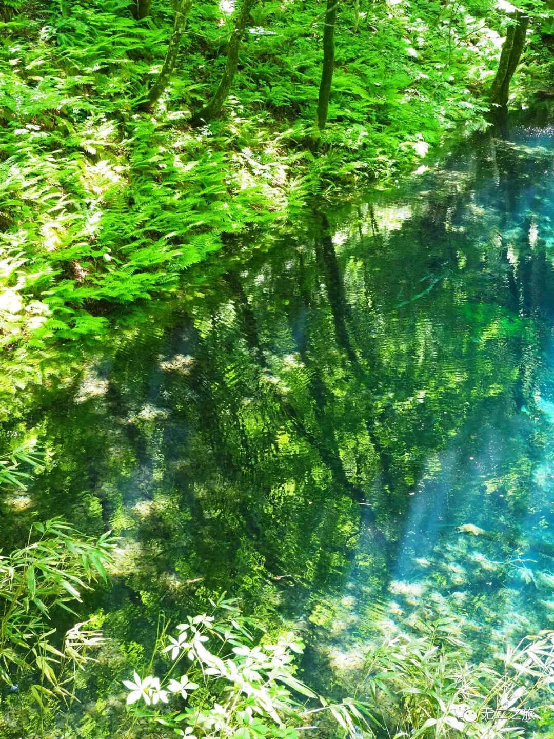 日本旅游：西瓜WiFi空调，都比不上青森的夏天                                                                                               日本