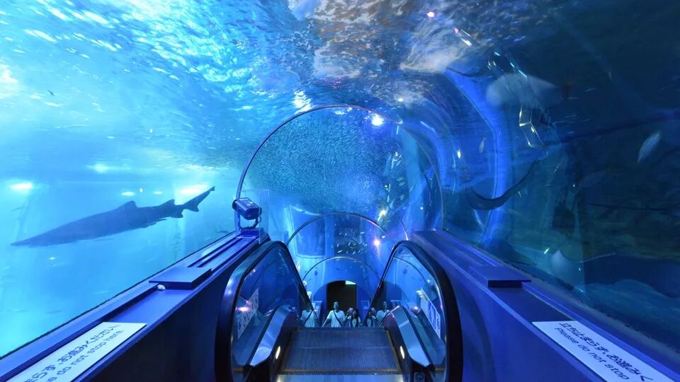 日本旅游攻略：带孩子去日本旅行的大人，都是不靠谱的！                                                                                               日本