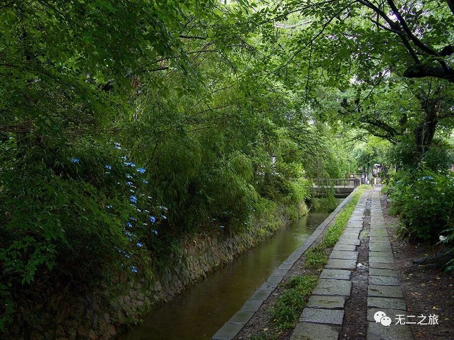 日本旅游：这是你从没见过的日本京都！                                                                                               日本