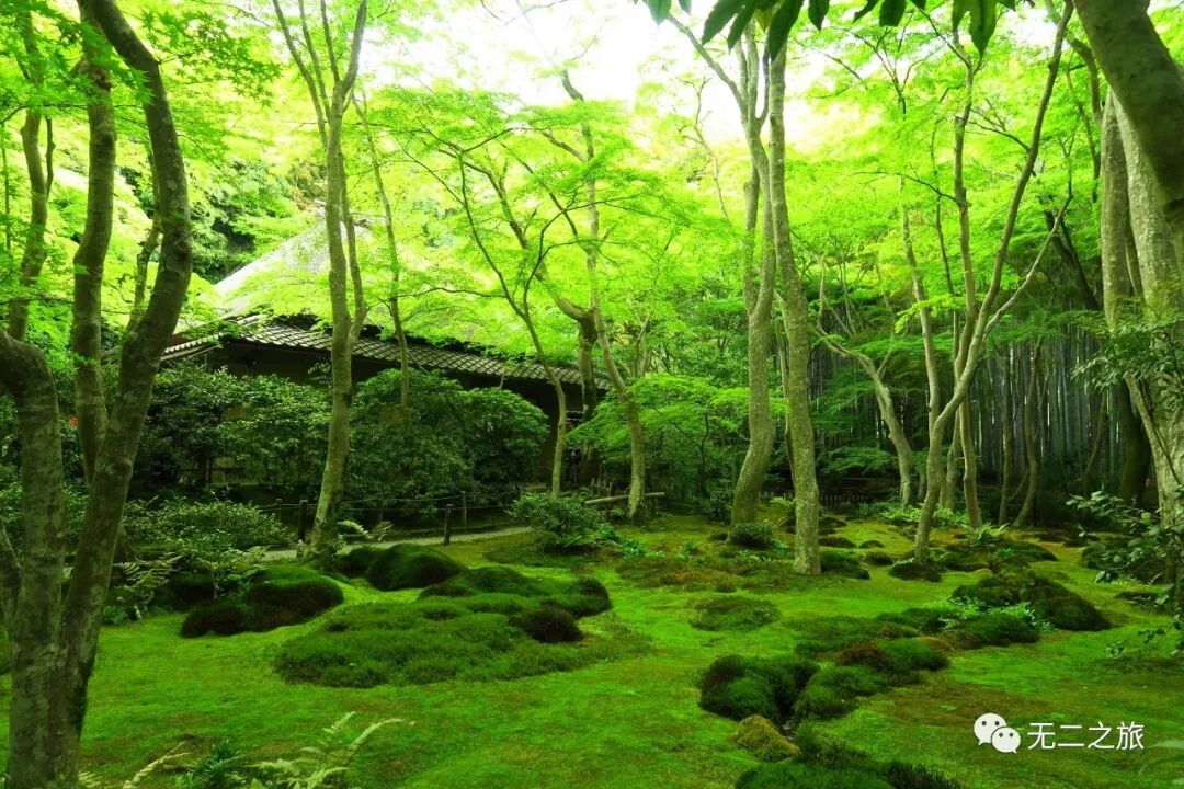 日本旅游：这是你从没见过的日本京都！                                                                                               日本