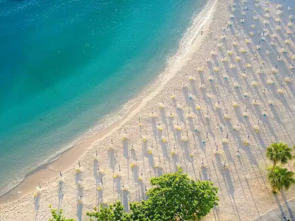 冬天去冲绳旅游，踏浪、赏樱、观鲸！                                                                                               日本