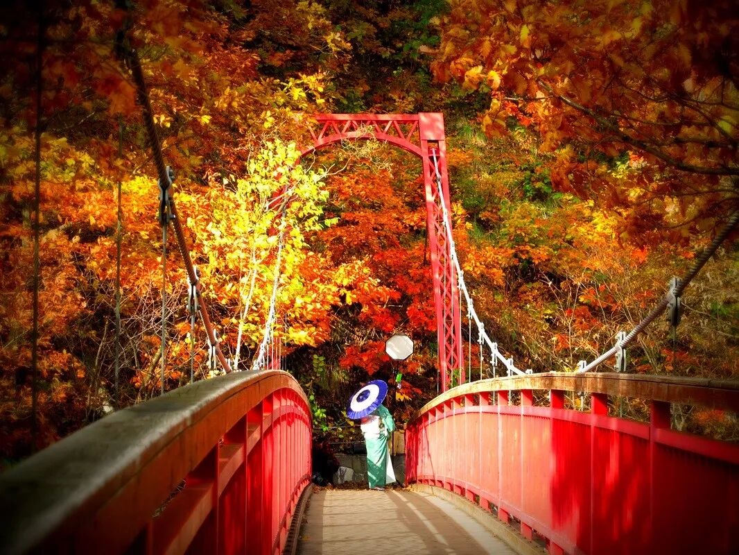 国庆出国旅游首选去日本北海道赏枫攻略                                                                                               日本