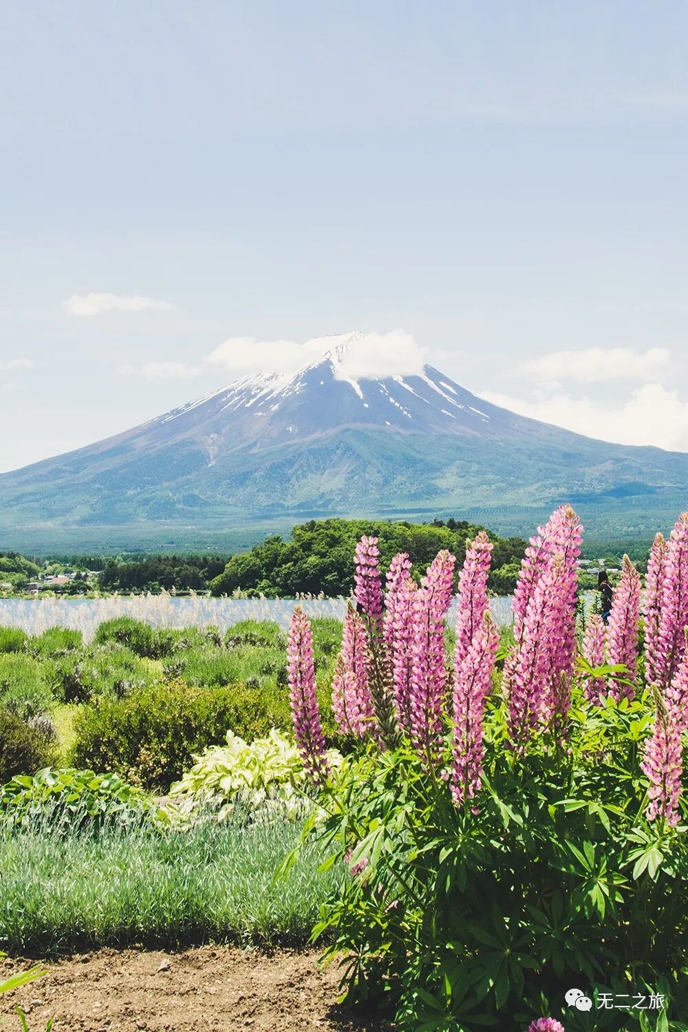 2019七夕旅游攻略：七夕去日本旅游最便宜！                                                                                               日本