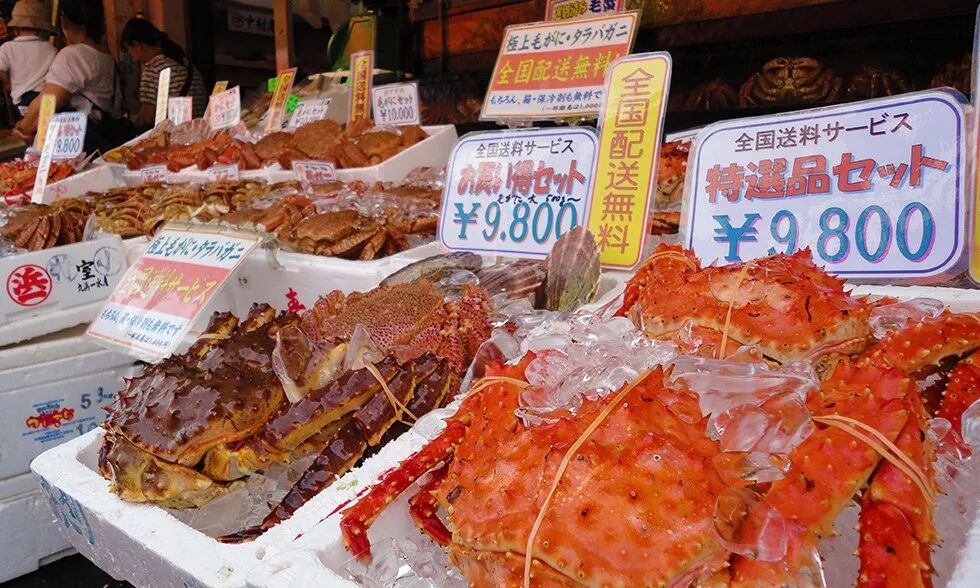 北海道冬季旅行，见到《情书》里最撩人的爱情                                                                                               日本