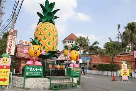 冬天去冲绳旅游，踏浪、赏樱、观鲸！                                                                                               日本