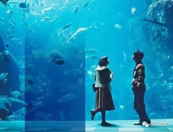 日本旅游：镰仓永远是夏天，每个人都在恋爱                                                                                               日本