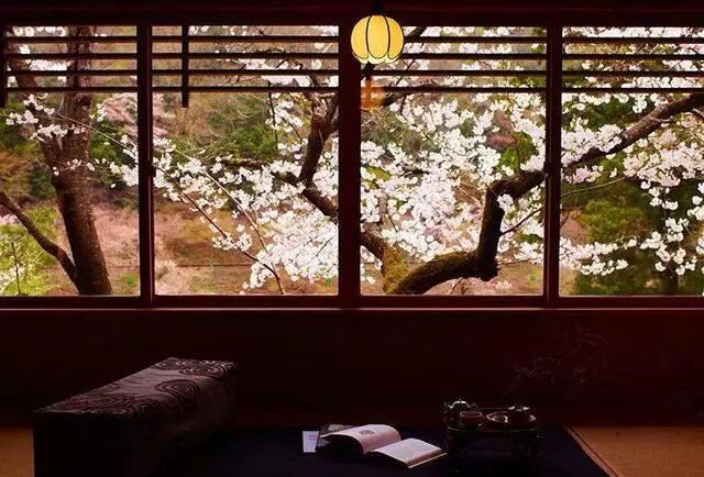 去日本看樱花，提前多久准备才最便宜省心？                                                                                               日本