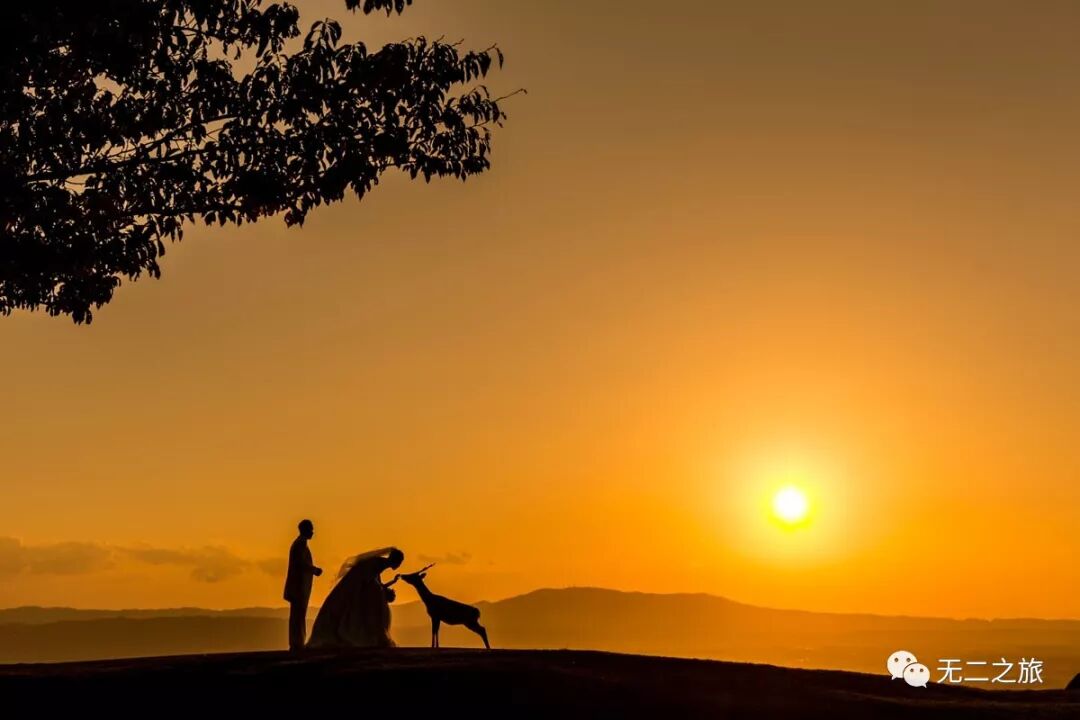 日本旅游攻略：为什么追我？！                                                                                               日本