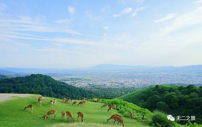 日本旅游攻略：为什么追我？！                                                                                               日本