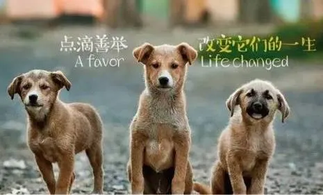 点击放大