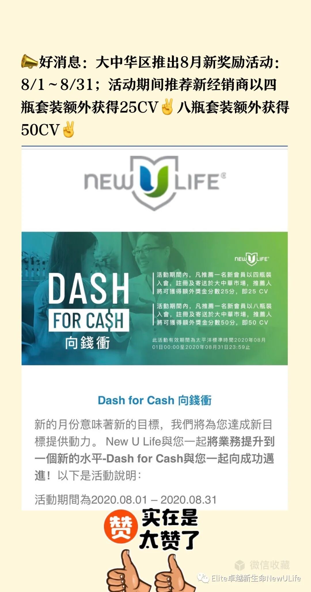 New U Life新生命公司 8月最新活动