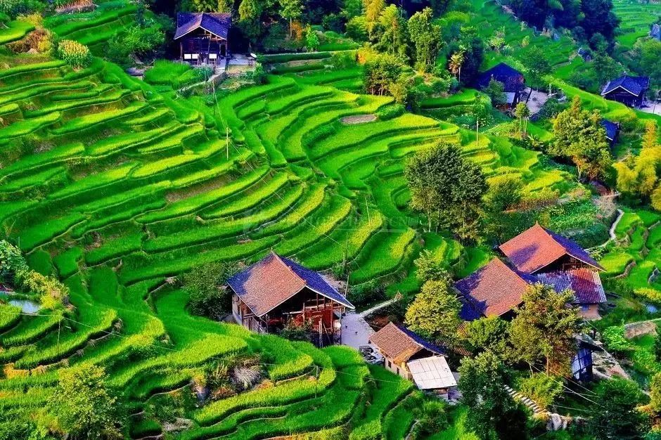 湖南隱匿的絕美山川古村，寧靜又深遠，三四月去正好！ 旅遊 第5張