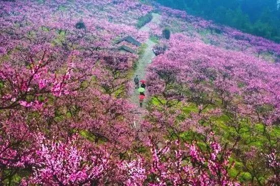 湖南隱匿的絕美山川古村，寧靜又深遠，三四月去正好！ 旅遊 第18張