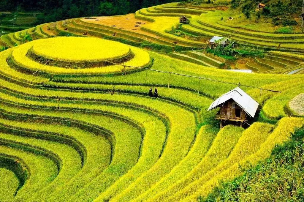 湖南隱匿的絕美山川古村，寧靜又深遠，三四月去正好！ 旅遊 第10張