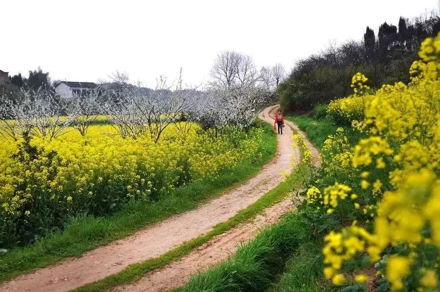 湖南隱匿的絕美山川古村，寧靜又深遠，三四月去正好！ 旅遊 第58張