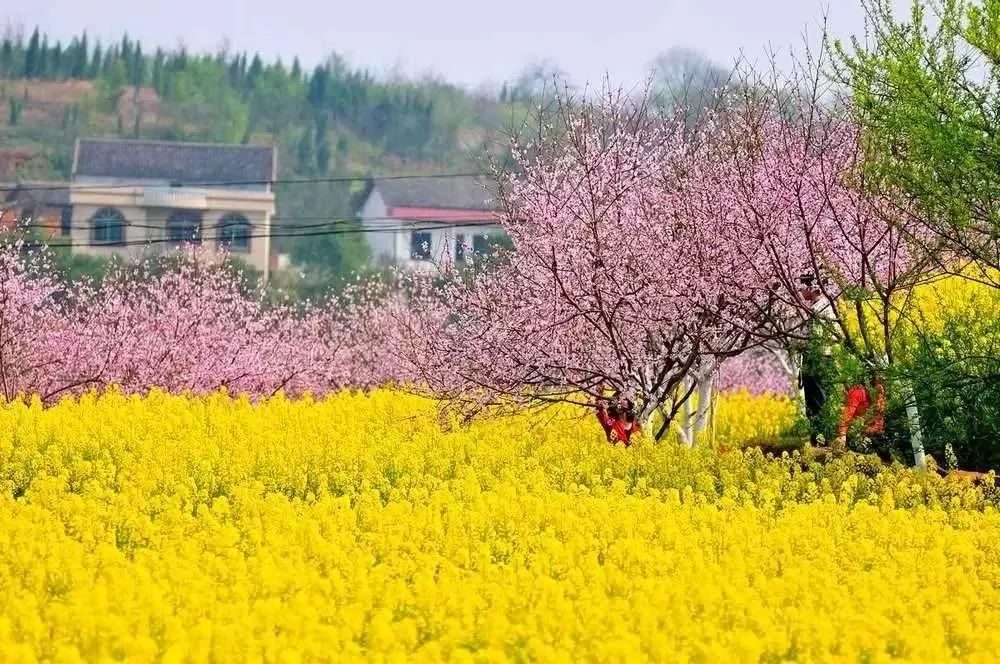 湖南隱匿的絕美山川古村，寧靜又深遠，三四月去正好！ 旅遊 第59張