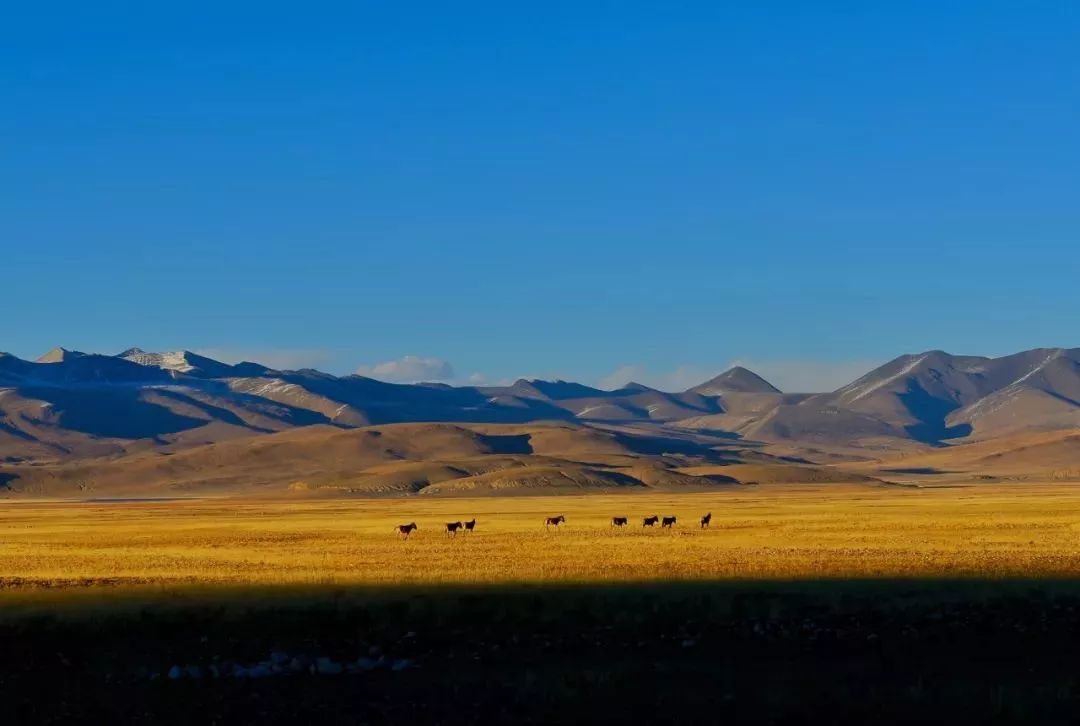 完爆美國66號的新國道，全程10000公里，新藏滇藏珠聯，里里皆絕色天堂！ 旅遊 第72張