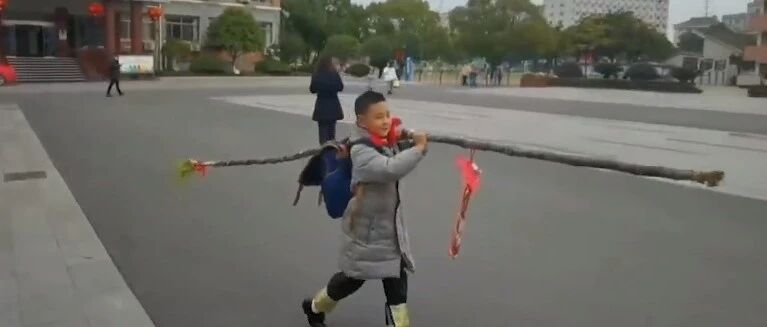 扛着甘蔗，挑着五花肉，这个期末奖励很“食在”！还有活鱼、活鸡、活猪…