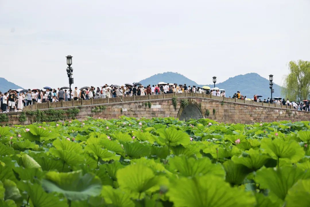 浙江新闻