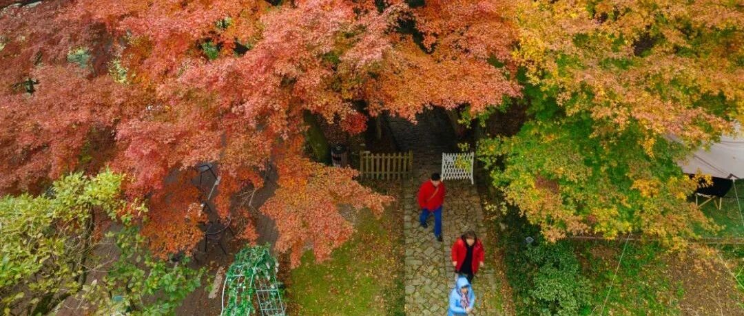 全国首批！浙江两地上榜