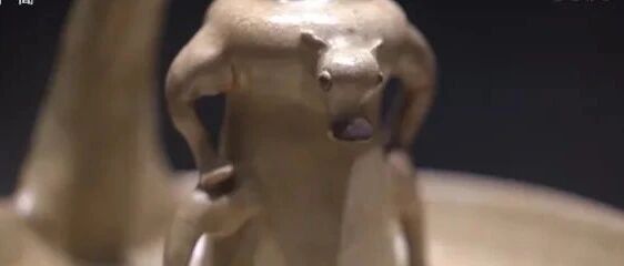 浙江，“牛”在哪？