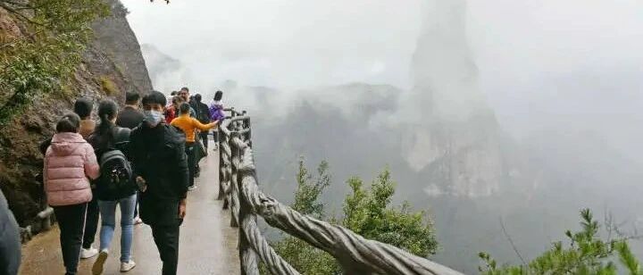 特强浓雾+牛年第一股冷空气在路上了！关于返程高峰，交警建议…