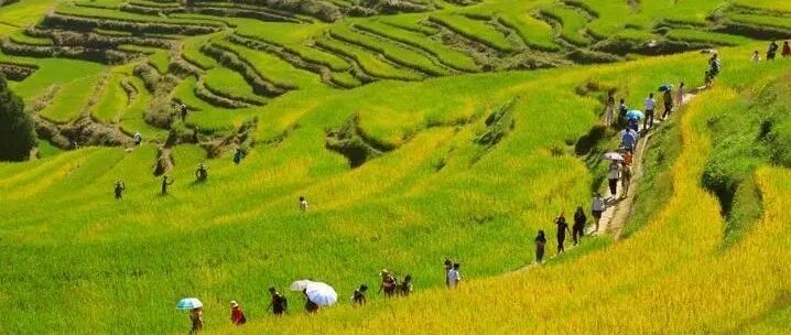 “双节”长假消费数据来了，网友晒出的账单也很惊喜！你知道外国人有多羡慕吗？