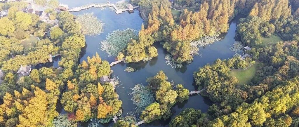 国庆过成暑假？浙江高温范围还将扩大，最高气温将升至36℃