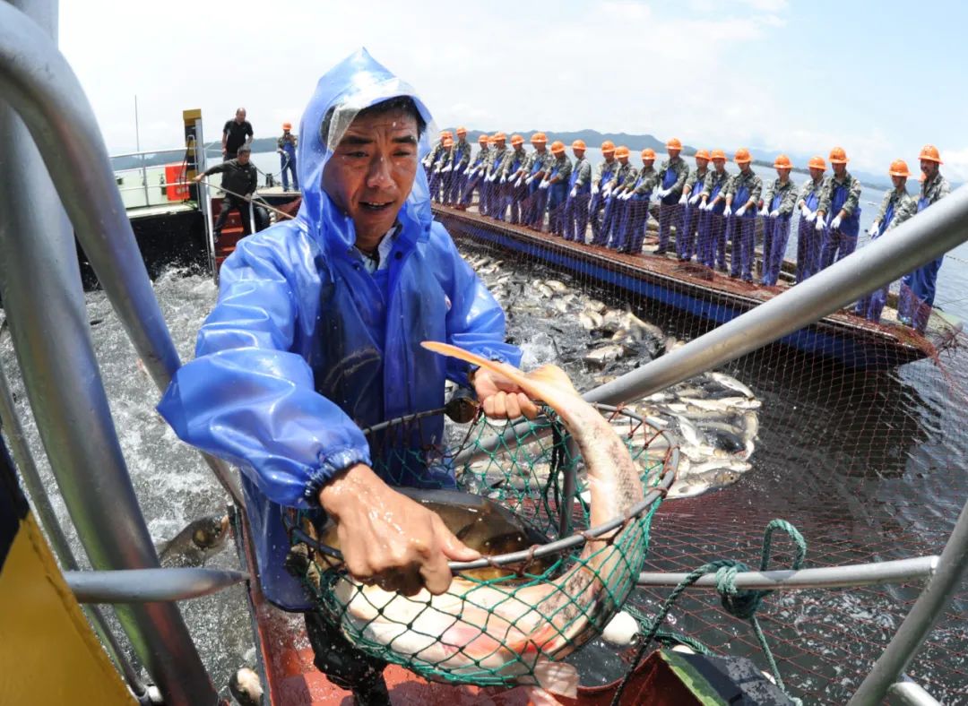 浙江狂撒2億元旅遊紅包，今天開始每天中午12點記得準時搶 旅遊 第14張