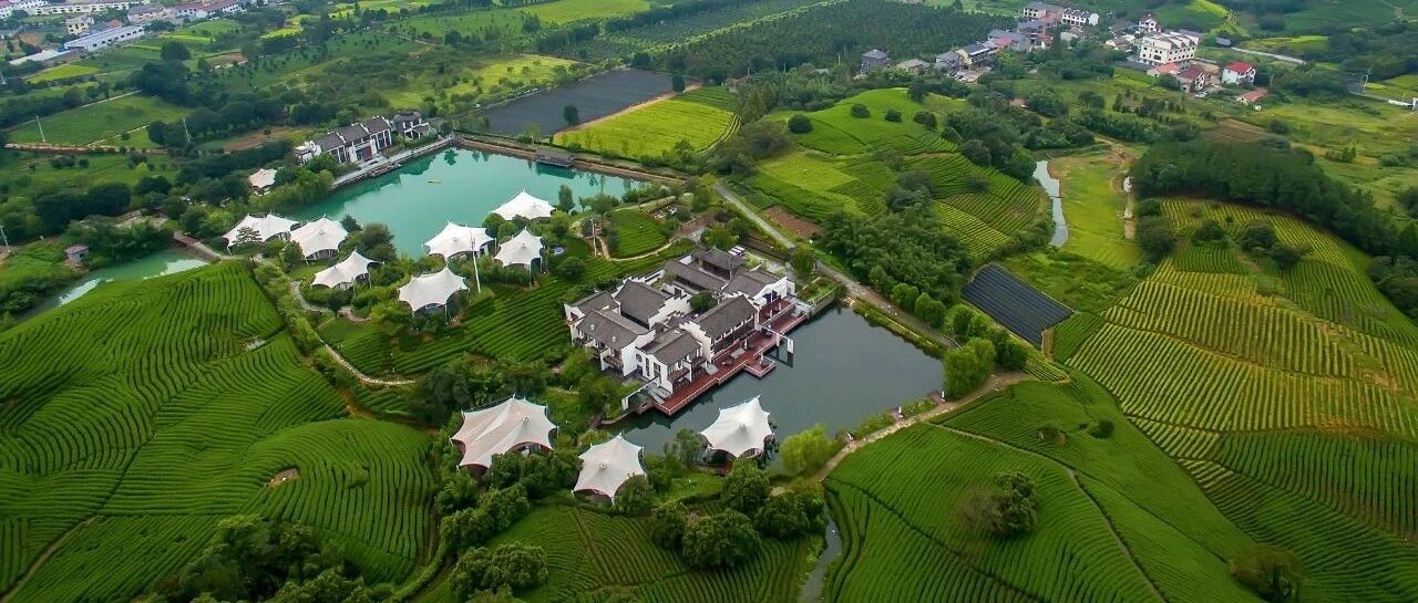 全国百强揭晓！浙江31地上榜