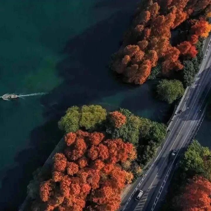 全国首个“无杆”停车场，就在杭州西湖、西溪景区！网友：太方便了吧