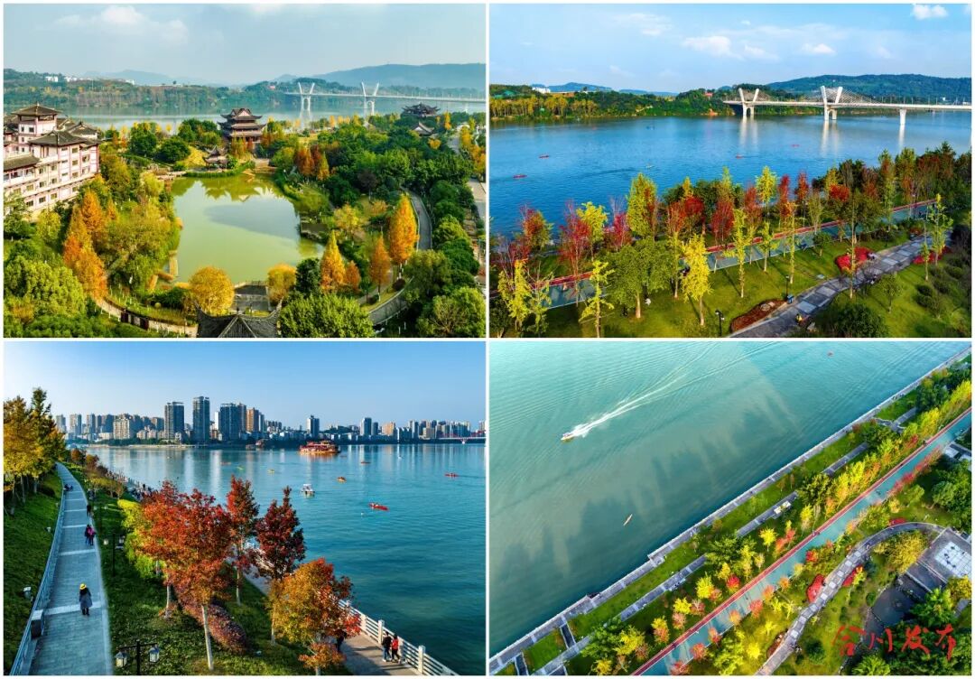 作品181《秋之韵》-2023年10-12月摄于合川区文峰湿地公园及滨江公园，沿江环境的美化以及景观的精心打造，冬日暖阳下的滨江公园，红枫展红颜，银杏披金甲，成为嘉陵江畔一道迷人的景色，秋色浓重，江上与岸上皆可共赏这迷人景色-周旋-13618242...jpg
