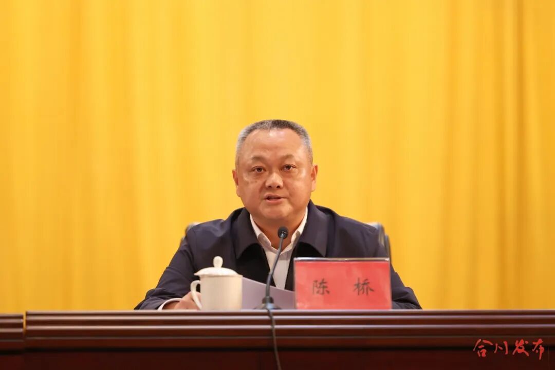 李文静摄 陈桥讲话2_副本.jpg