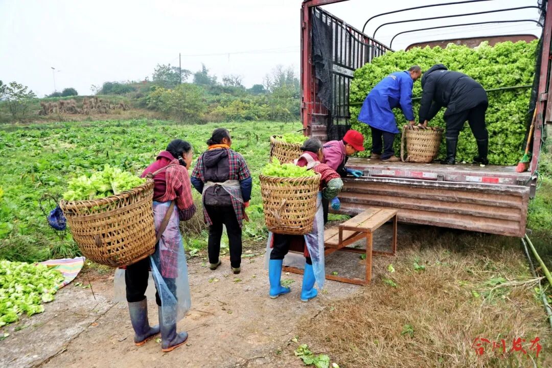 GetAttachment (6).jpg