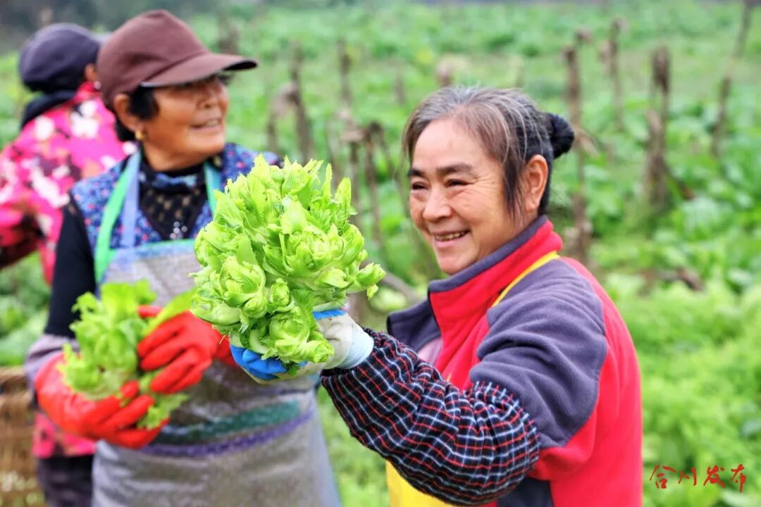 GetAttachment (5).jpg