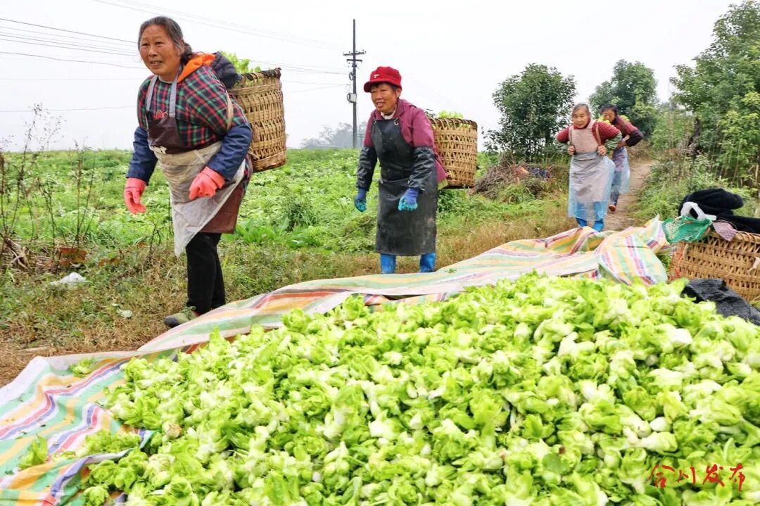 GetAttachment (3).jpg