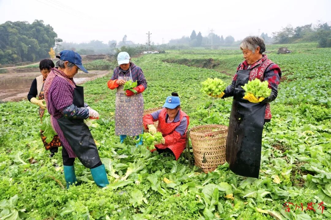 GetAttachment (1).jpg